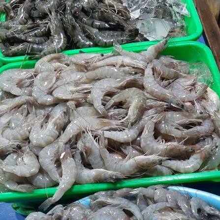 Udang Laut Segar (1kg)